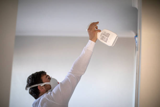 Best Best Mold Removal Companies  in Ballenger Creek, MD