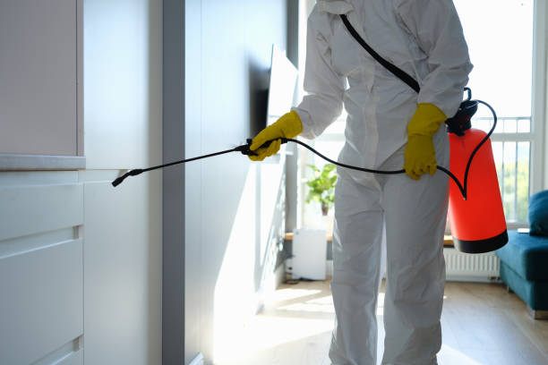 Best Commercial Mold Removal  in Ballenger Creek, MD