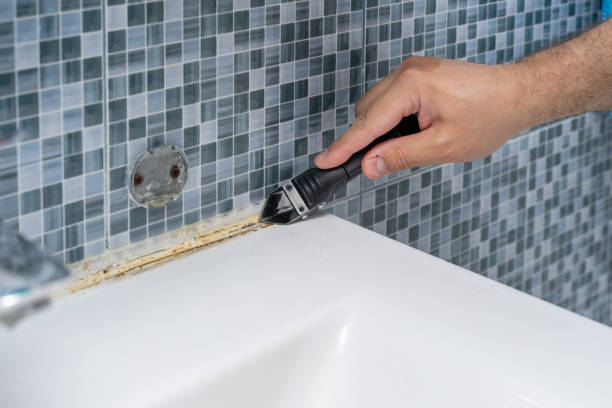 Best Toxic Mold Removal  in Ballenger Creek, MD