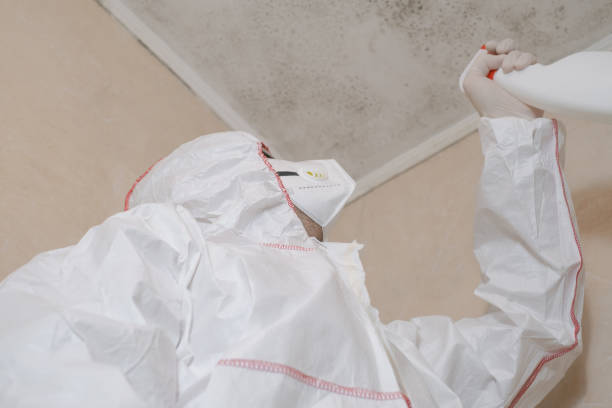 Best Mold Testing  in Ballenger Creek, MD